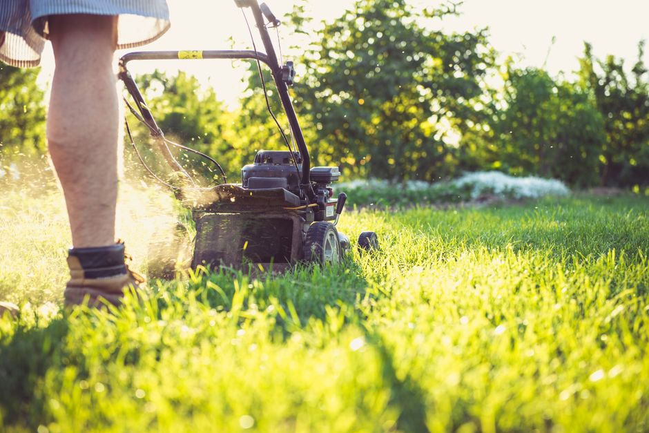 The Landscaper’s Guide to Local PPC Campaign Management